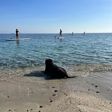 S'oggiastrone Hébergement de vacances