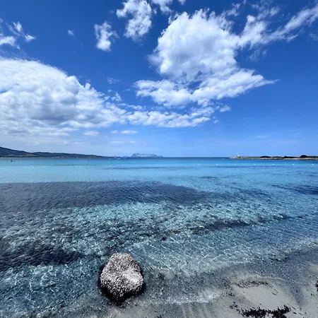 S'oggiastrone * Танаунелла